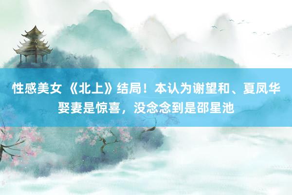 性感美女 《北上》结局！本认为谢望和、夏凤华娶妻是惊喜，没念念到是邵星池