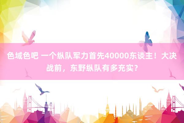 色域色吧 一个纵队军力首先40000东谈主！大决战前，东野纵队有多充实？