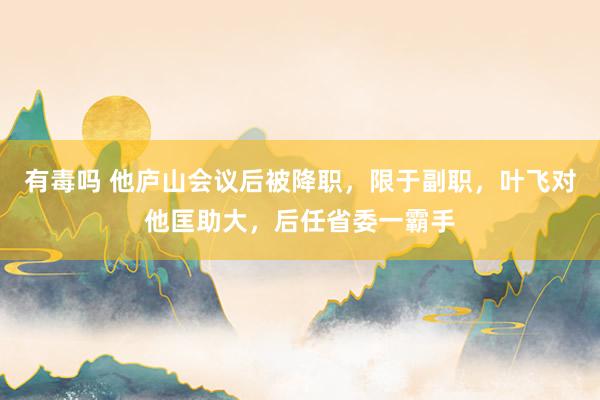 有毒吗 他庐山会议后被降职，限于副职，叶飞对他匡助大，后任省委一霸手