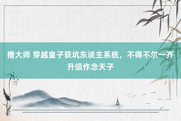 撸大师 穿越皇子获坑东谈主系统，不得不尔一齐升级作念天子