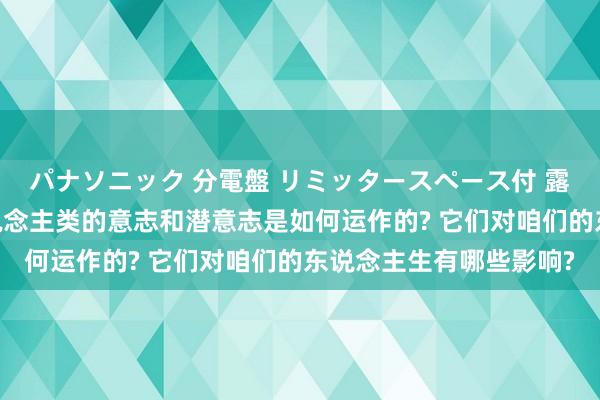パナソニック 分電盤 リミッタースペース付 露出・半埋込両用形 东说念主类的意志和潜意志是如何运作的? 它们对咱们的东说念主生有哪些影响?