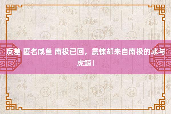 反差 匿名咸鱼 南极已回,震悚却来自南极的冰与虎鲸!