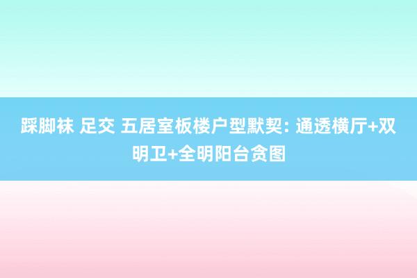踩脚袜 足交 五居室板楼户型默契: 通透横厅+双明卫+全明阳台贪图