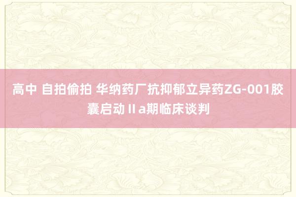 高中 自拍偷拍 华纳药厂抗抑郁立异药ZG-001胶囊启动Ⅱa期临床谈判