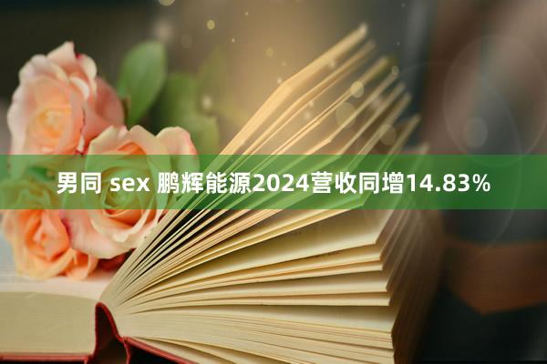 男同 sex 鹏辉能源2024营收同增14.83%