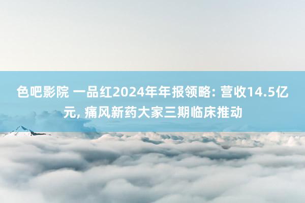 色吧影院 一品红2024年年报领略: 营收14.5亿元, 痛风新药大家三期临床推动