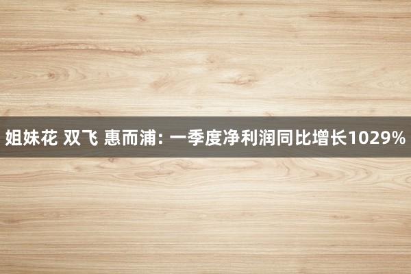 姐妹花 双飞 惠而浦: 一季度净利润同比增长1029%