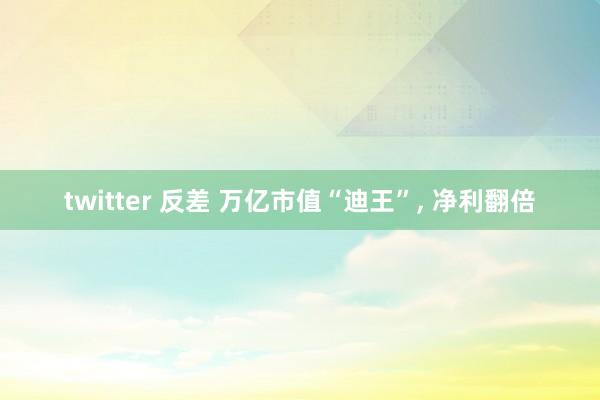 twitter 反差 万亿市值“迪王”, 净利翻倍