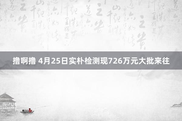 撸啊撸 4月25日实朴检测现726万元大批来往