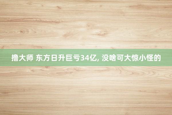 撸大师 东方日升巨亏34亿, 没啥可大惊小怪的