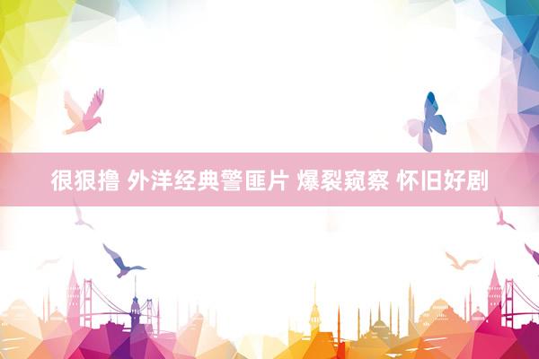 很狠撸 外洋经典警匪片 爆裂窥察 怀旧好剧