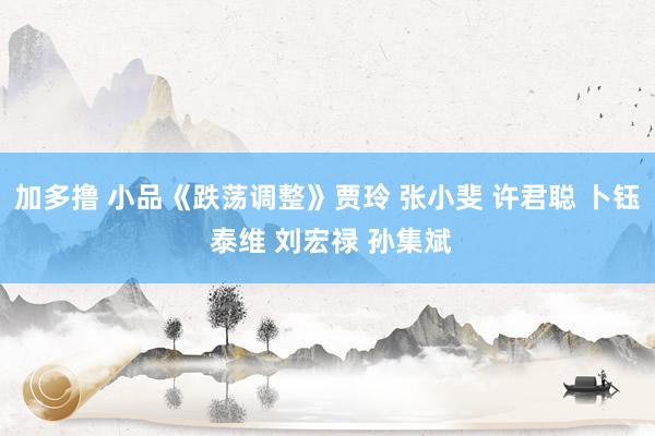 加多撸 小品《跌荡调整》贾玲 张小斐 许君聪 卜钰 泰维 刘宏禄 孙集斌