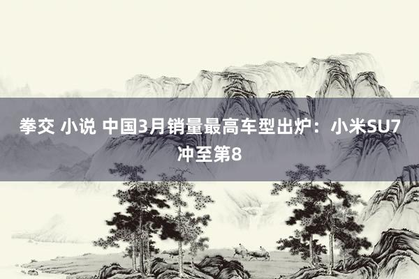 拳交 小说 中国3月销量最高车型出炉：小米SU7冲至第8
