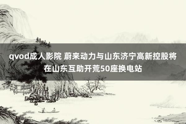 qvod成人影院 蔚来动力与山东济宁高新控股将在山东互助开荒50座换电站